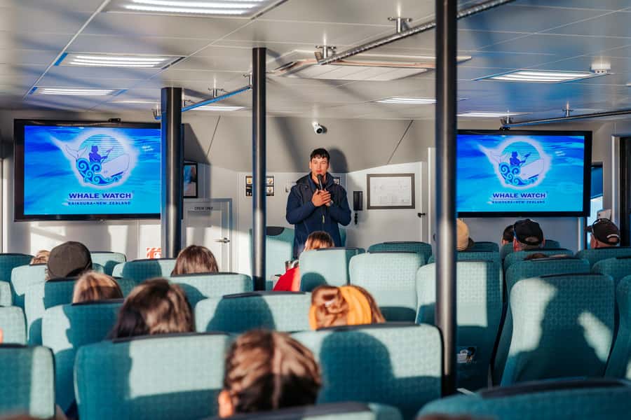 Kaikoura: Whale Watching Cruise - Kaikōura’s whale watching goal: giant sperm whales, plus real wildlife variety