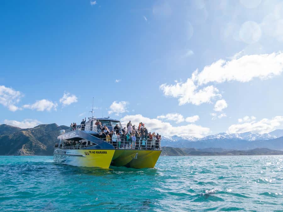 Kaikoura: Whale Watching Cruise - The catamaran ride: outdoor viewing, indoor comfort, and quieter tech