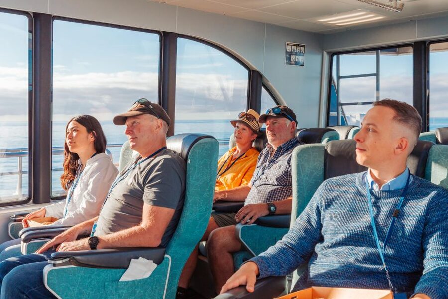 Kaikoura: Whale Watching Cruise - How you actually spot whales: crew tracking, warnings, and sound cues