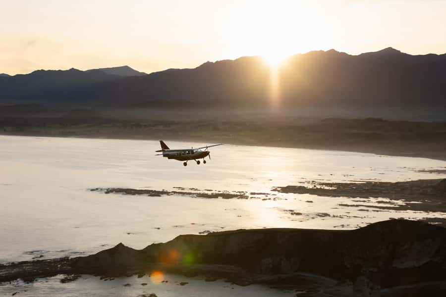 Kaikoura: Whale Watching Flight with Commentary - The flow of the experience, from check-in to the photo stop