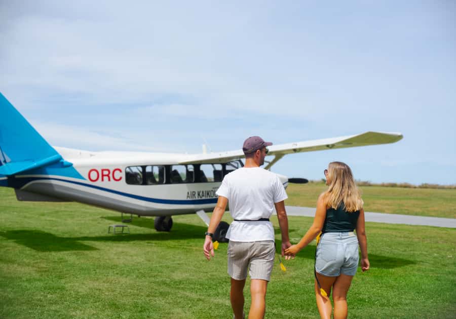 Kaikoura: Whale Watching Flight with Commentary - The scenery bonus: coastline, reefs, and alpine peaks from above