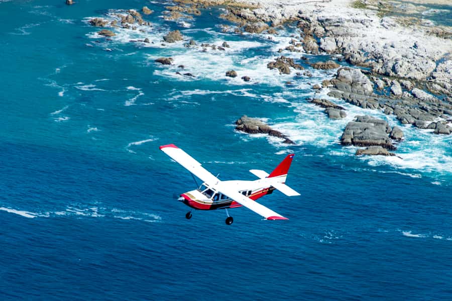Kaikoura: Whale Watching Flight with Commentary - Should you book the Kaikoura whale-watching flight with Air Kaikoura?