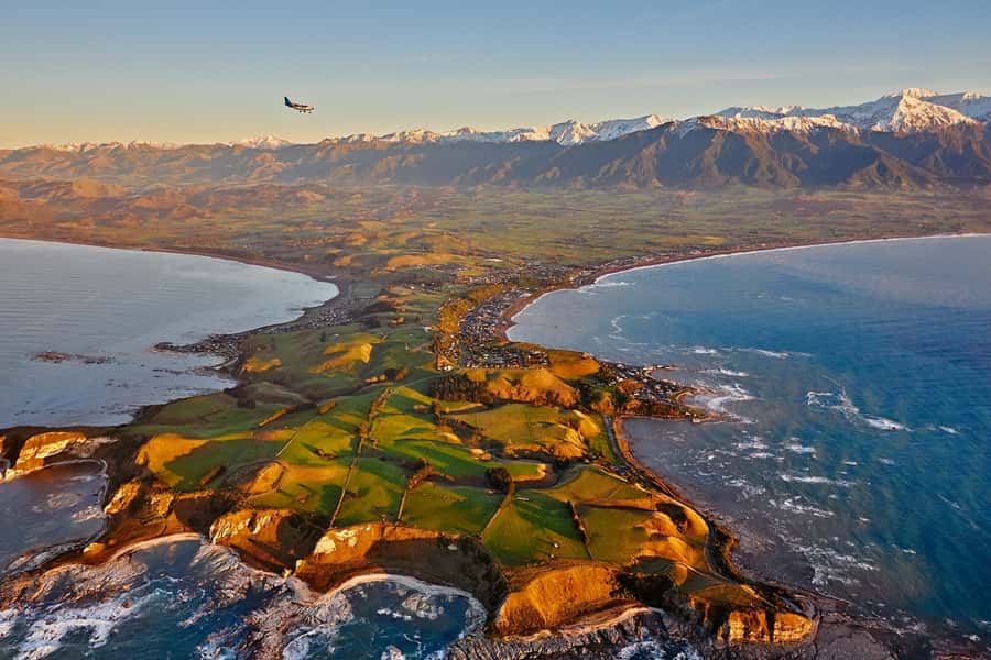Kaikoura: Whale Watching Flight with Guided Commentary - The Real-Time Tracking Part That Makes This Feel Efficient