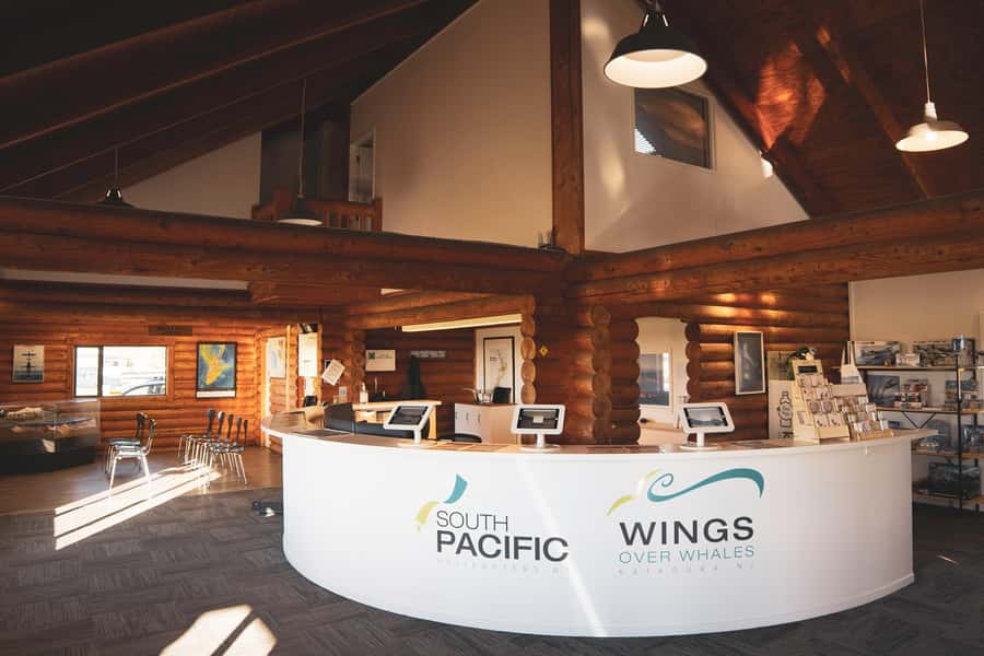 Kaikoura: Whale Watching Flight with Guided Commentary - A Balanced Take: What Could Be Disappointing