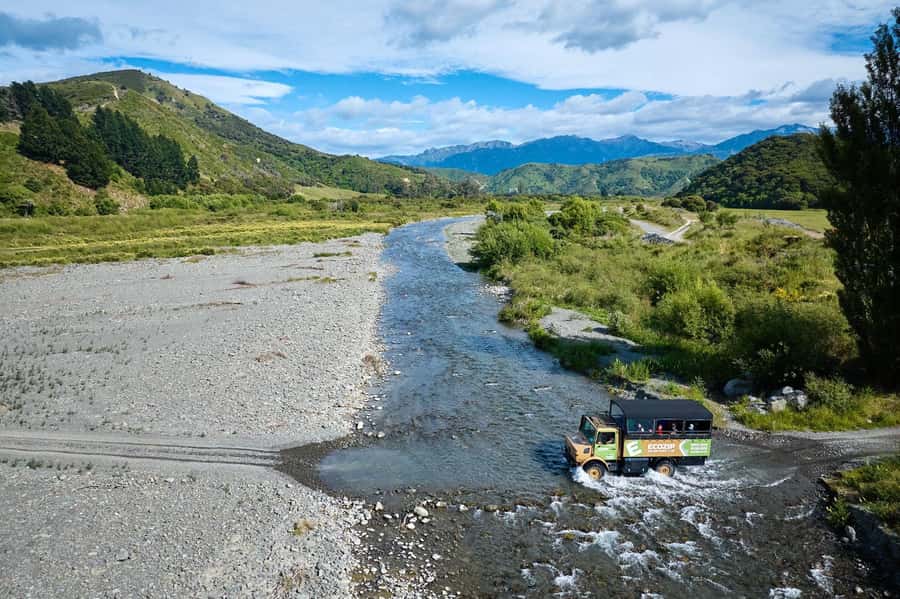 Kaikōura: Zipline and Native Forest Adventure Trip - The zipline portion: 5 dual flights plus easy in-between walking