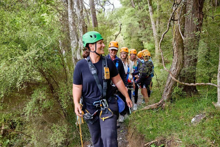 Kaikōura: Zipline and Native Forest Adventure Trip - Conservation work you can see: tree planting opportunities (seasonal)