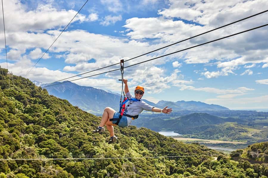 Kaikōura: Zipline and Native Forest Adventure Trip - Price and value: is $118 worth 210 minutes in Kaikoura?