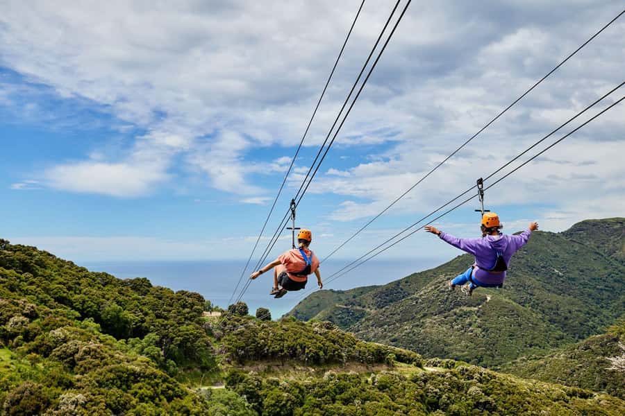Kaikōura: Zipline and Native Forest Adventure Trip - The 4X4 farm experience: rivers, fords, and real terrain