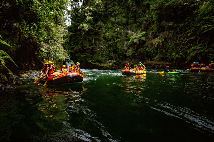 Kaituna River and Tutea Falls Whitewater Rafting - The 7-meter Tutea Falls moment: the part you plan for