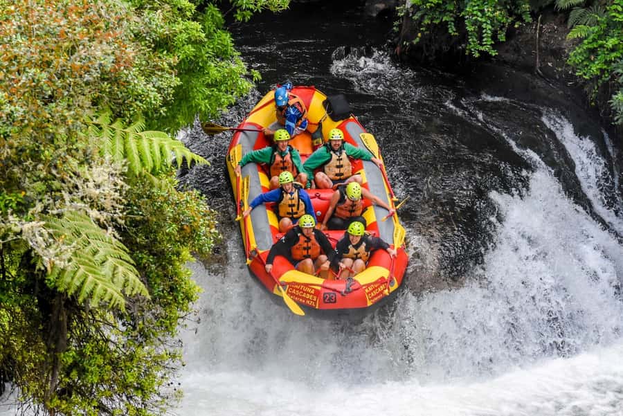 Kaituna River and Tutea Falls Whitewater Rafting - After rafting: walking track views and craft beer nearby