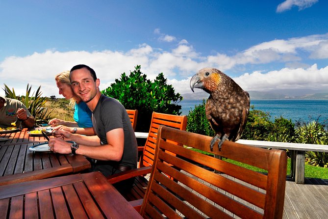 Kapiti Island Classic Guided Day Tour - Key things I’d circle before you book