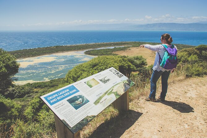 Kapiti Island Classic Guided Day Tour - Private guided day, from the Paraparaumu ferry to Waiorua Bay