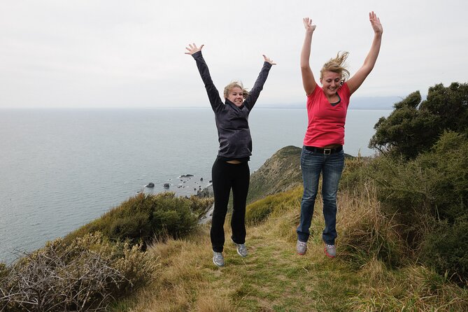 Kapiti Island: Classic Guided Day Tour - Getting there: ferry ride energy and timing on Kapiti