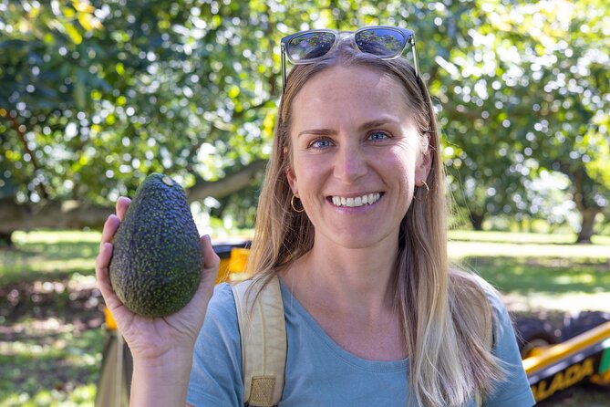 Katikati Avocado Adventure - Value and Price: Why $36.61 Feels Fair Here