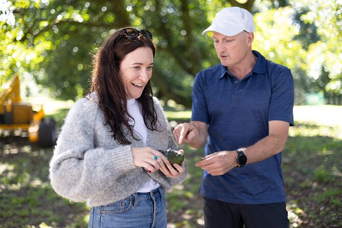 Katikati Gourmet Avocado Tasting - Entering the Orchard: Seasonal Growing You Can Actually Picture
