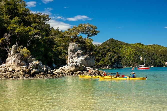 Kayak & Pitt Head Nature Loop - Guided Kayak & Unguided Walk - New Zealand - A 1-Day Abel Tasman Mix: Marahau to Anchorage by Kayak, Walk, and Water Taxi