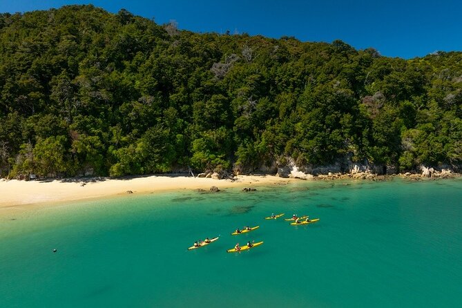 Kayak & Pitt Head Nature Loop - Guided Kayak & Unguided Walk - New Zealand - Lunch in the Park: A Real Meal, Not a Snack You Regret