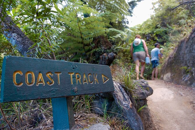 Kayak & Pitt Head Nature Loop - Guided Kayak & Unguided Walk - New Zealand - Price and Value: Is $164.45 Worth a Full Day in Abel Tasman?