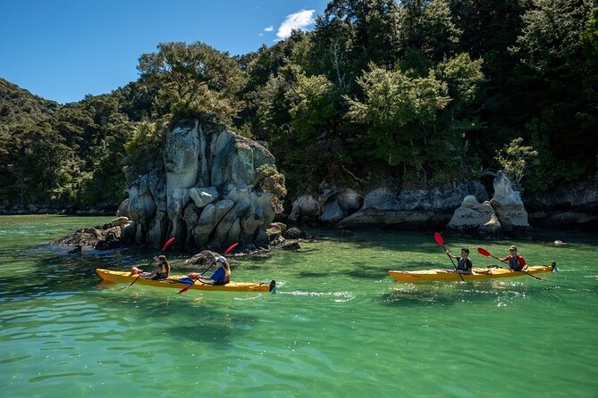 Kayak & Pitt Head Nature Loop - Guided Kayak & Unguided Walk - New Zealand - Safety and Weather: The Real Reason This Day Needs Good Conditions