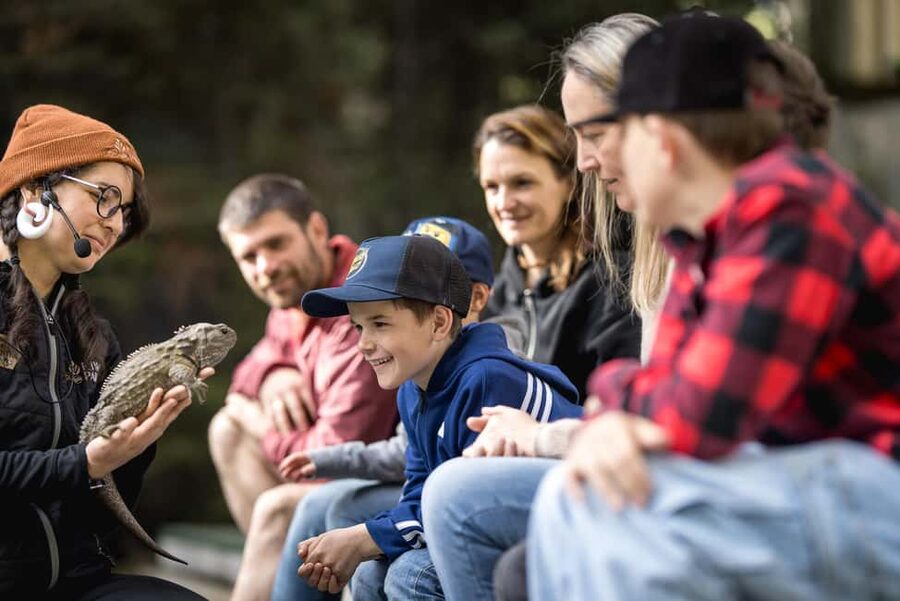 Kiwi Park Admission Ticket - Practical tips that make the day smoother