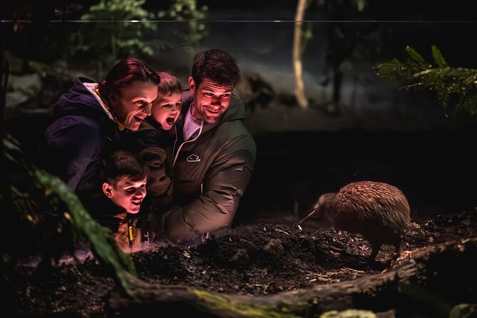 Kiwi Park Queenstown Admission - Tickets, Hours, and How to Build a Smart Timing Plan