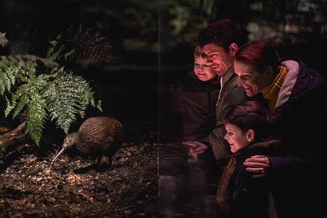 Kiwi Park Queenstown Admission - New Zealand Conservation Show: Birds That Fly Free Over You