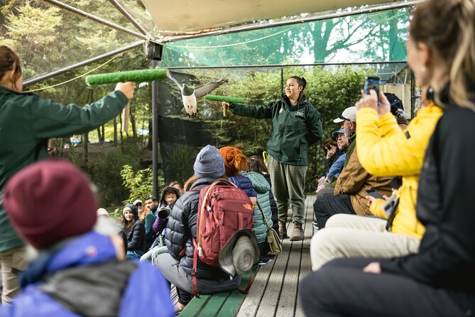 Kiwi Park Queenstown Admission - Kiwi Encounters in the Nocturnal House: How to See More Than Shadows