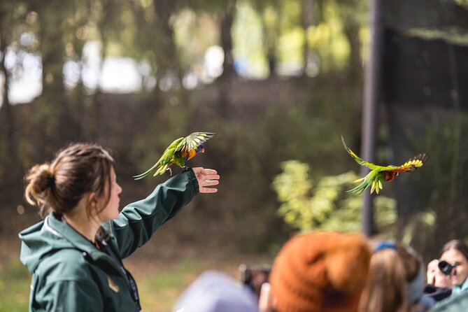 Kiwi Park Queenstown Admission - Forest Walk, Trout-Filled Streams, and the Conservation Story