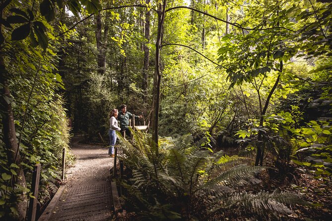 Kiwi Park Queenstown Admission - Price and Value: Is $39.72 Worth It?