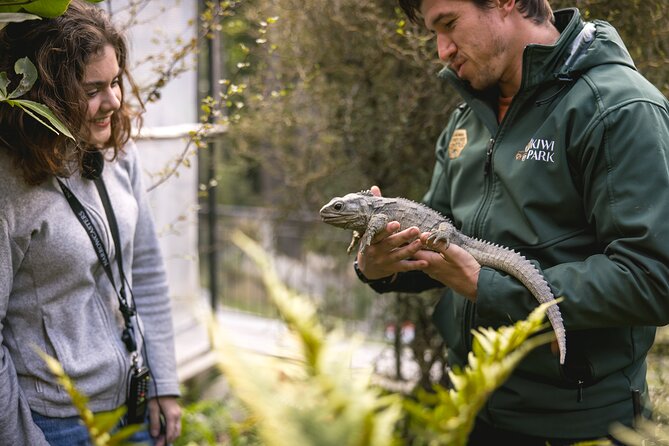 Kiwi Park Queenstown Admission - Practical Tips for a Smooth Visit (Especially in Dark Viewing)
