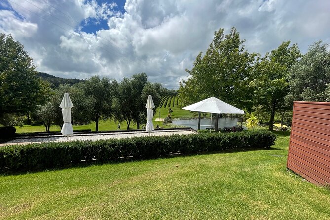 Kumeu Wine Tour - Soljans Estate Winery: A Family-Run Start to Your Tasting Day