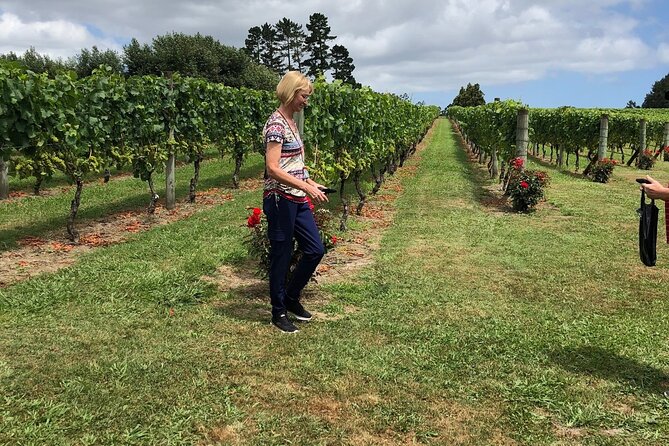 Kumeu Wine Tour - Pickup, Timing, and Small-Group Comfort (10 Travelers Maximum)
