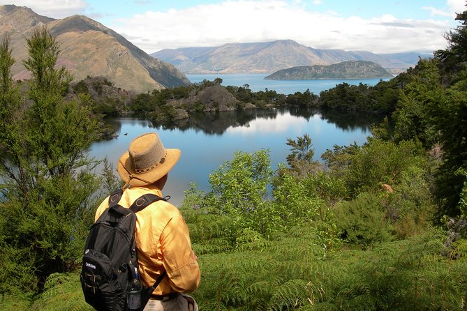 Lake Cruise & Mou Waho Island Nature Walk - Entering Mou Waho Island: Why This Nature Reserve Matters