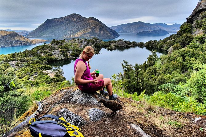 Lake Cruise & Mou Waho Island Nature Walk - Tree Planting: Turning a Walk Into a Real Impact