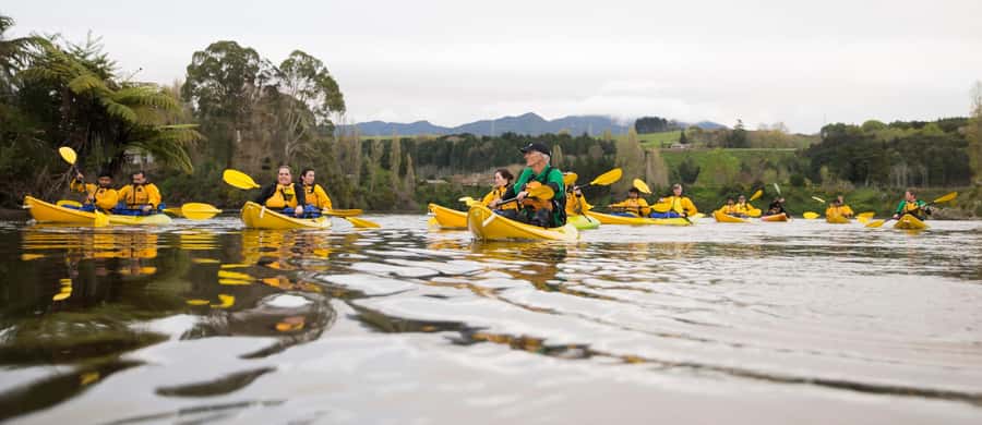 Lake Karapiro: Evening Kayak Glowworm Tour - Launching From Riverside Adventures and Getting the Timing Right