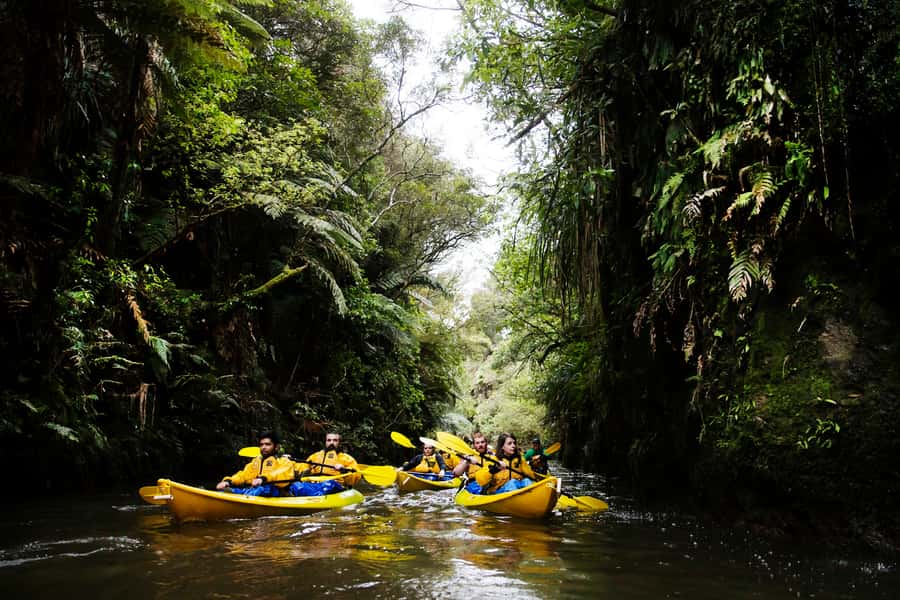 Lake Karapiro: Evening Kayak Glowworm Tour - Up the Pokaiwhenua Stream: A Canyon Built by Water Over Centuries