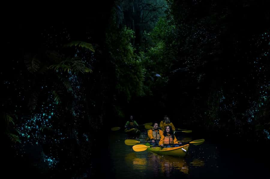 Lake Karapiro: Evening Kayak Glowworm Tour - Twilight Wait: Snacks, Stories, and the Slow Build to Darkness