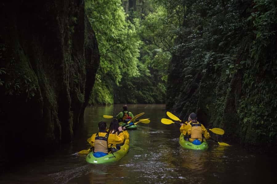 Lake Karapiro: Evening Kayak Glowworm Tour - Is $89 Good Value for 3.5 Hours on Lake Karapiro?