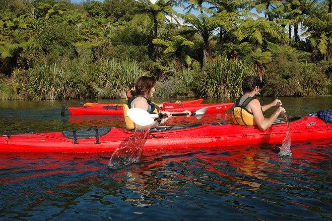 Lake Rotoiti Evening Kayak Tour including Hot Springs, Glowworm Caves and BBQ Dinner - Who this tour is ideal for, and who should think twice
