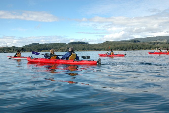 Lake Rotoiti Guided Hot Pools Kayak Trip - Weather, Plan Changes, and How to Prepare Like a Pro