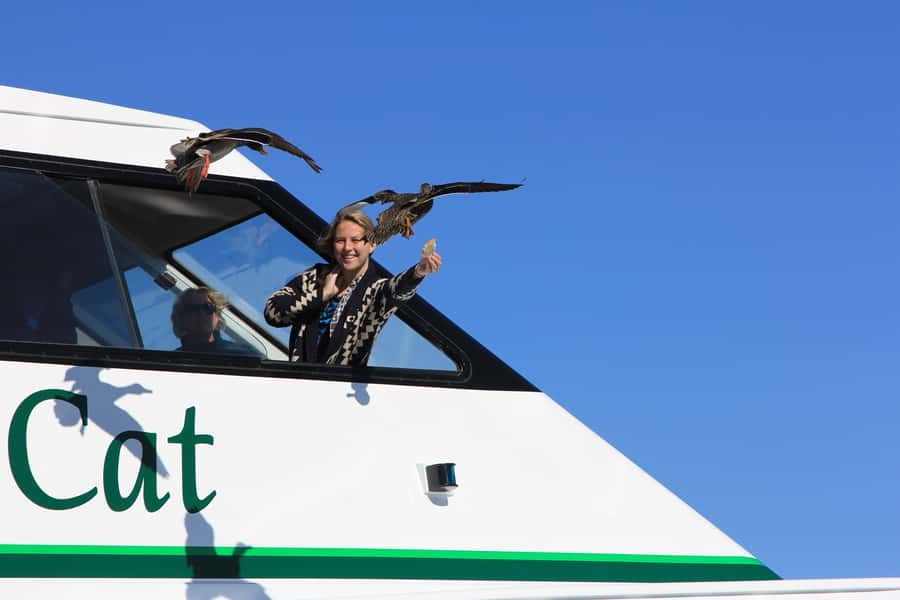 Lake Taupo: 1.5-Hour Maori Rock Carvings 5:00 PM Cruise - The guide experience: live English commentary that connects the dots