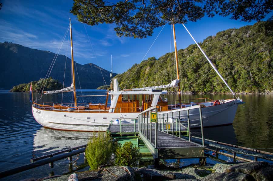 Lake Te Anau: 3-Hour Boat Cruise with Guided Walk - Practical Tips for a Smooth, Enjoyable Day