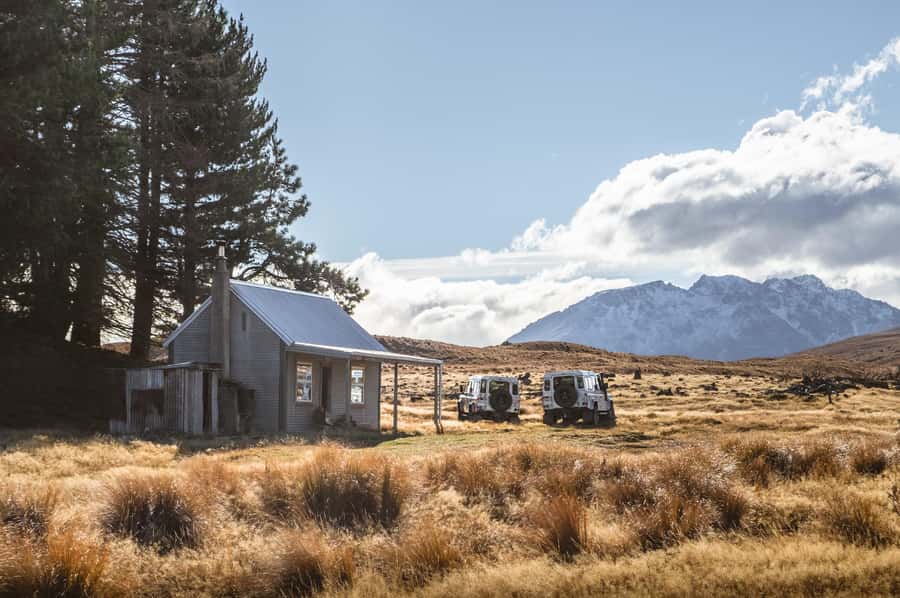 Lake Tekapo: Glaciers, Mountains, and Landscapes Scenic Tour - Wildlife Spotting and Off-Road Photo Timing