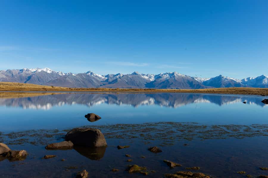Lake Tekapo High Country Farm Tour (Carbon Positive) - Mulan’s Horse Stars and the Guide’s Farmer-Style Storytelling