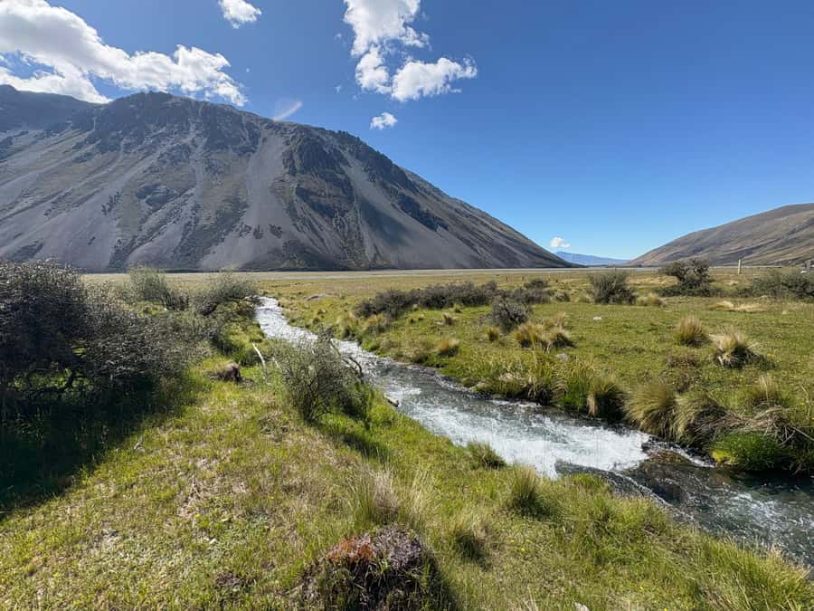 Lake Tekapo Scenic 4WD Cass Valley Wilderness Tour - Key things that make this tour worth your time