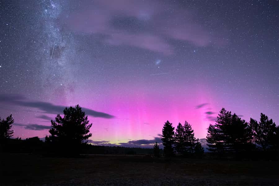 Lake Tekapo: Stargazing Experience - Hot chocolate, blankets, and roasted marshmallows, the cozy finale