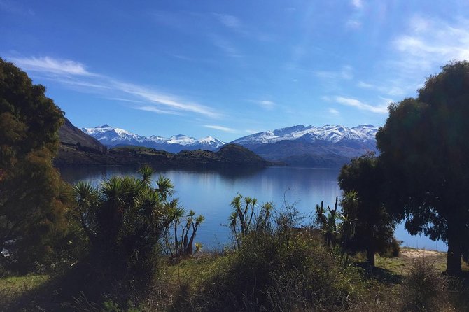 Lake Wanaka 1-Hour Cruise Including Wine and Cheese - Price and value at about $43 per person