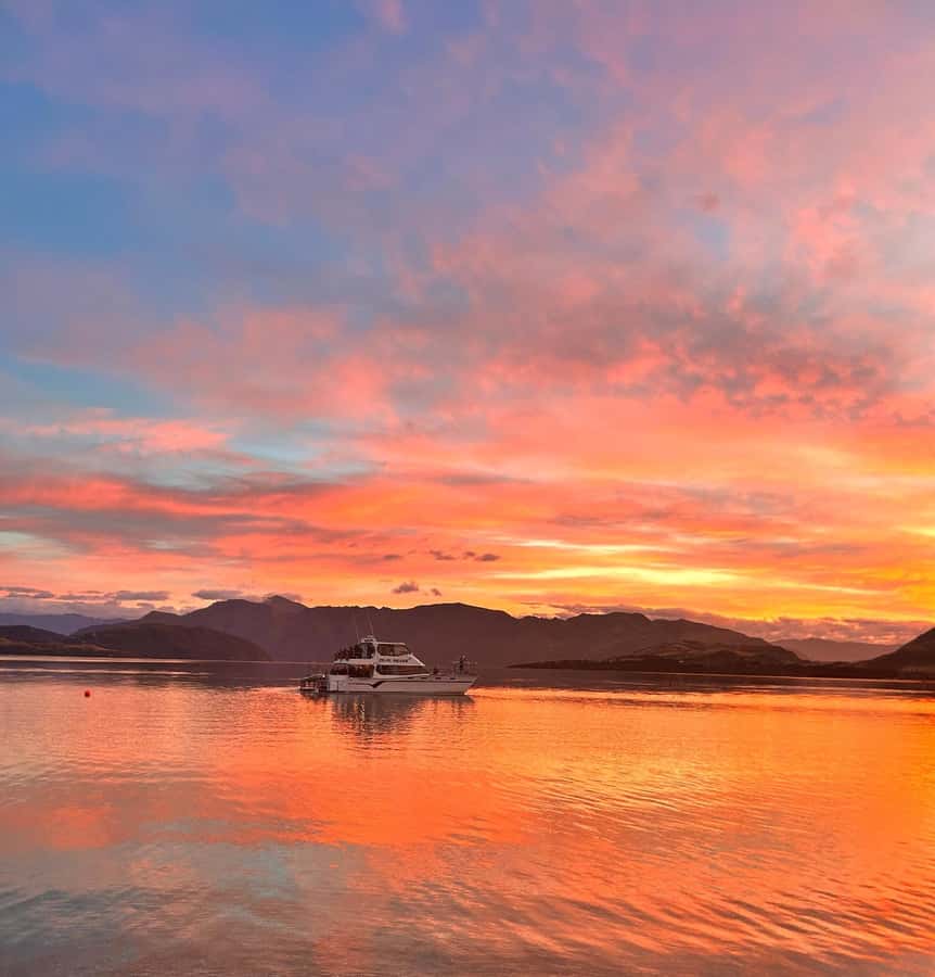 Lake Wanaka Happy Hour Cruise - Price and value: why $38 feels like a bargain for Wanaka