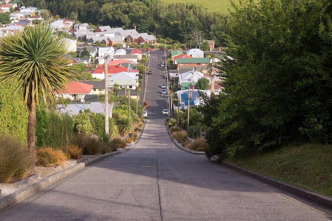 Larnach Castle & Dunedin City Highlights Tour (Shore Excursion) - Key things I’d bet you’ll remember