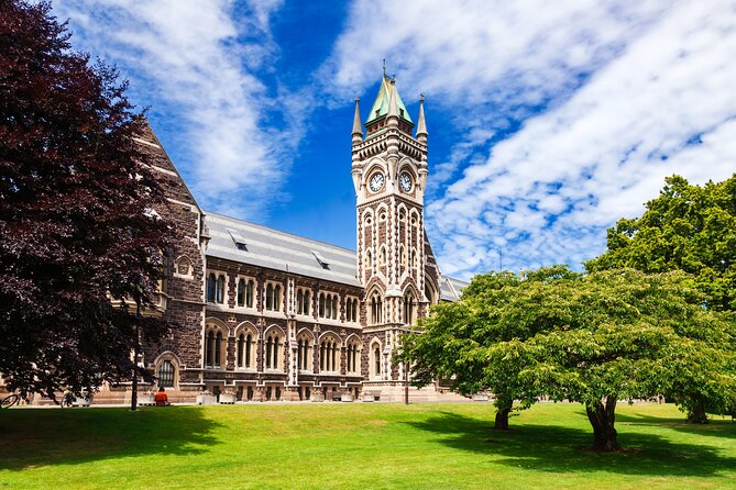 Larnach Castle & Dunedin City Highlights Tour (Shore Excursion) - What to Expect From the Views, Weather, and Your On-the-Ground Timing